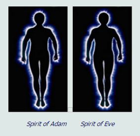 Spirit Of Adam And Eve 